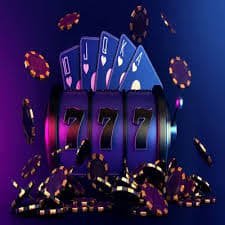 databet88