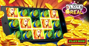 databet88